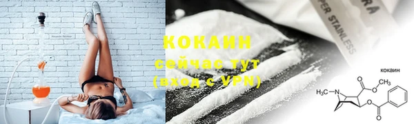 Альфа ПВП Кемь