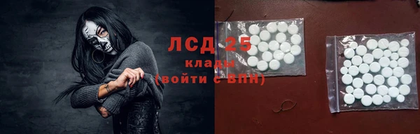 спиды Кедровый
