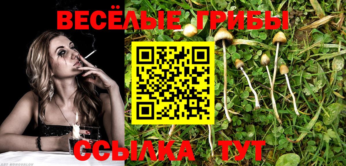 Минусинск  Псилоцибиновые грибы Psilocybe  Вход с VPN 