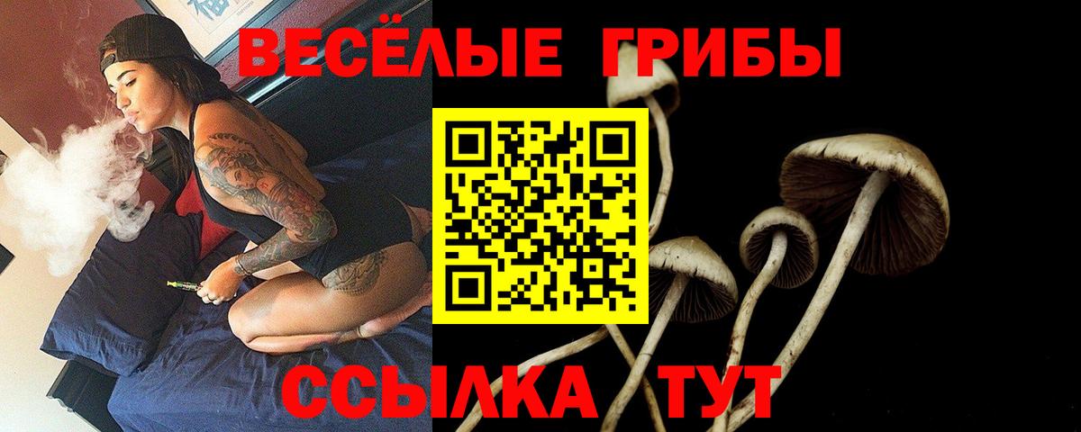 Псилоцибиновые грибы Cubensis Минусинск
