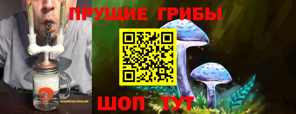 Псилоцибиновые грибы GOLDEN TEACHER  как найти закладки  Минусинск  Галлюциногенные грибы Magic Shrooms 
